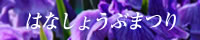 はなしょうぶまつり