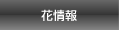 花情報