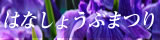 はなしょうぶまつり