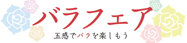 バラフェア