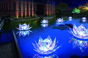 白鳥の池B