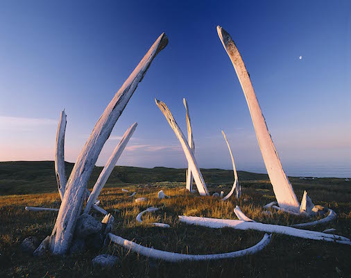 クジラの骨の遺跡とベーリング海に浮かぶ半月<br />
（ロシア、チュコト半島）