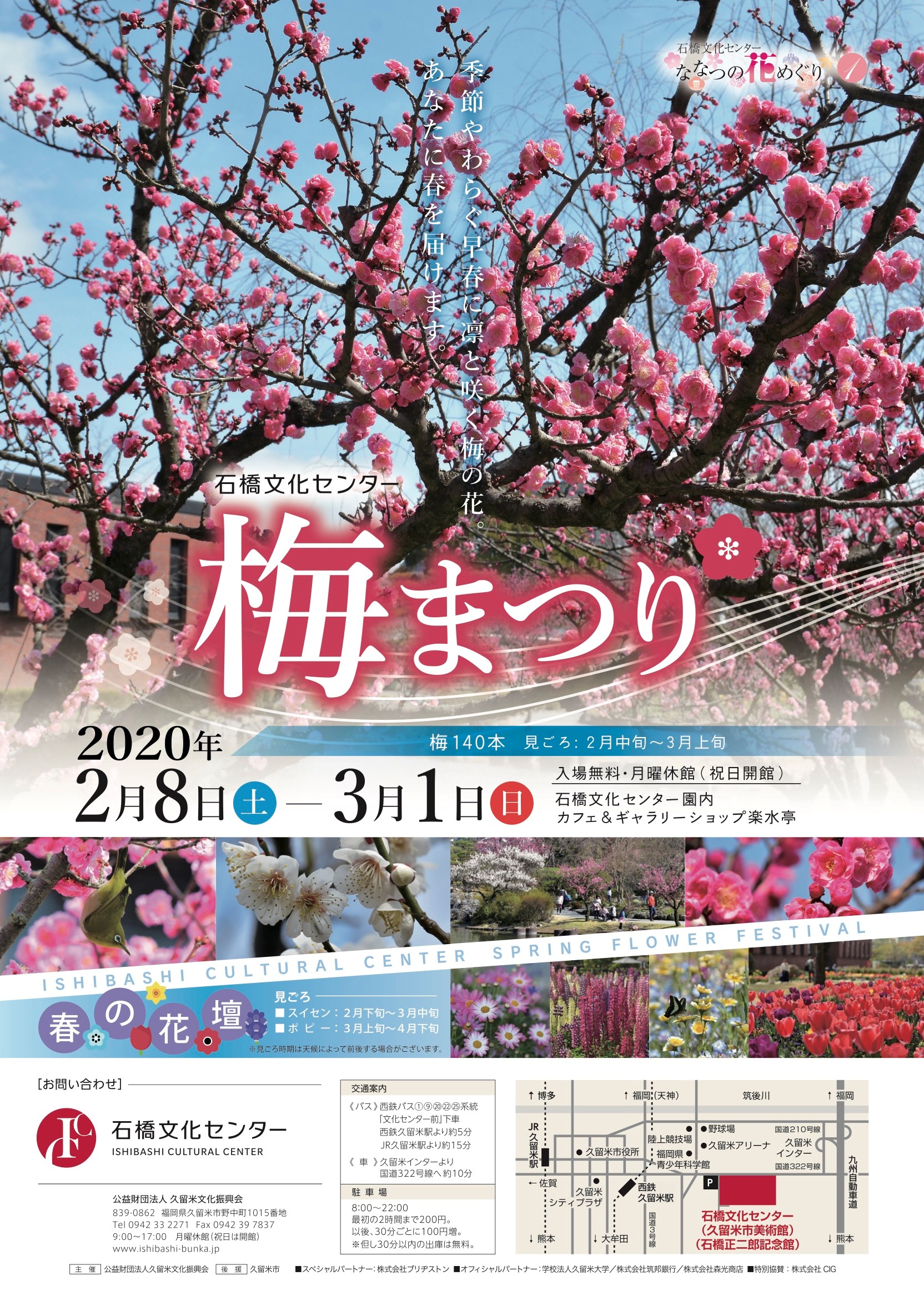 イベント 春の花まつり 梅まつり 石橋文化センター