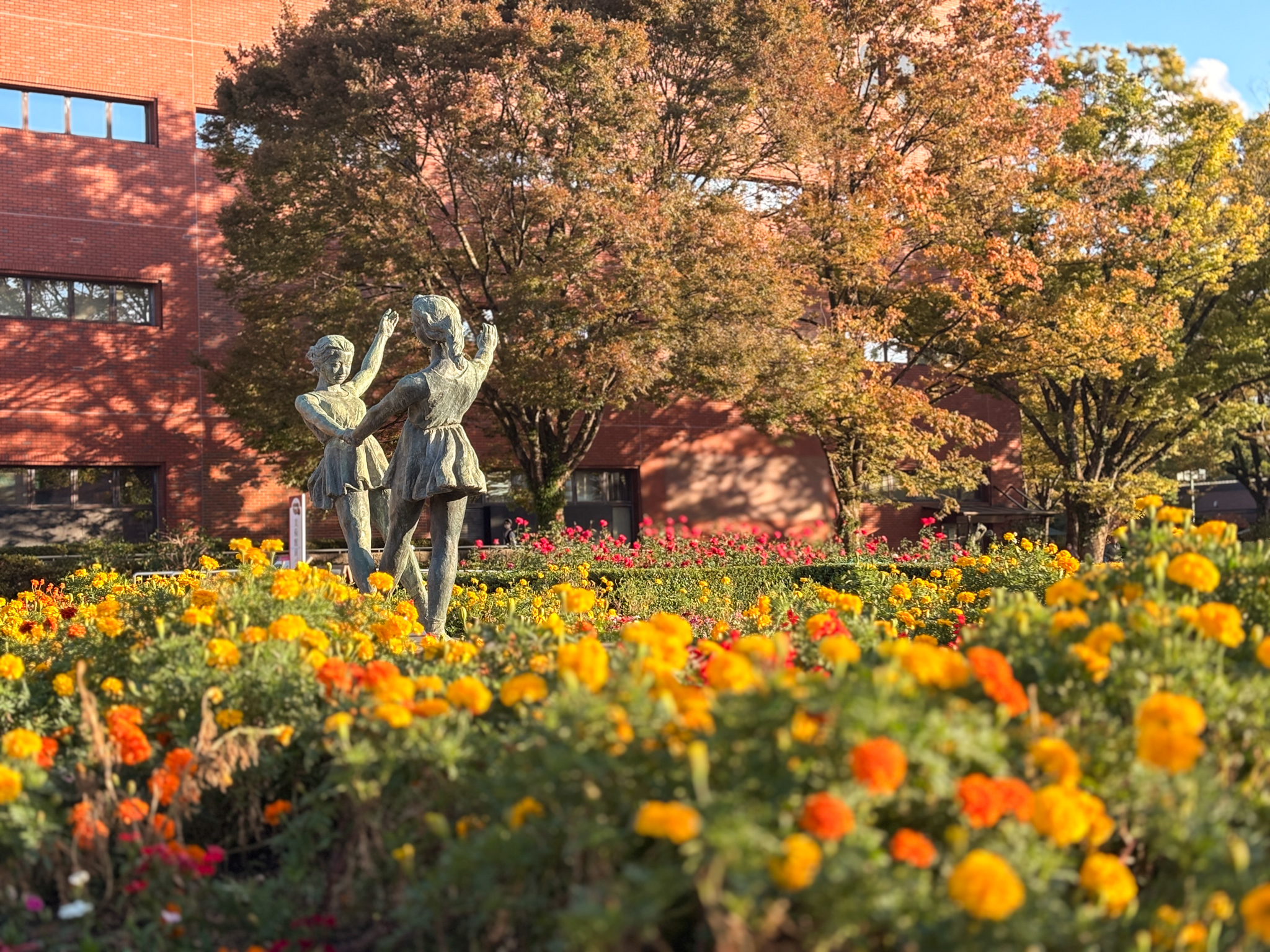 サザンカ（山茶花）