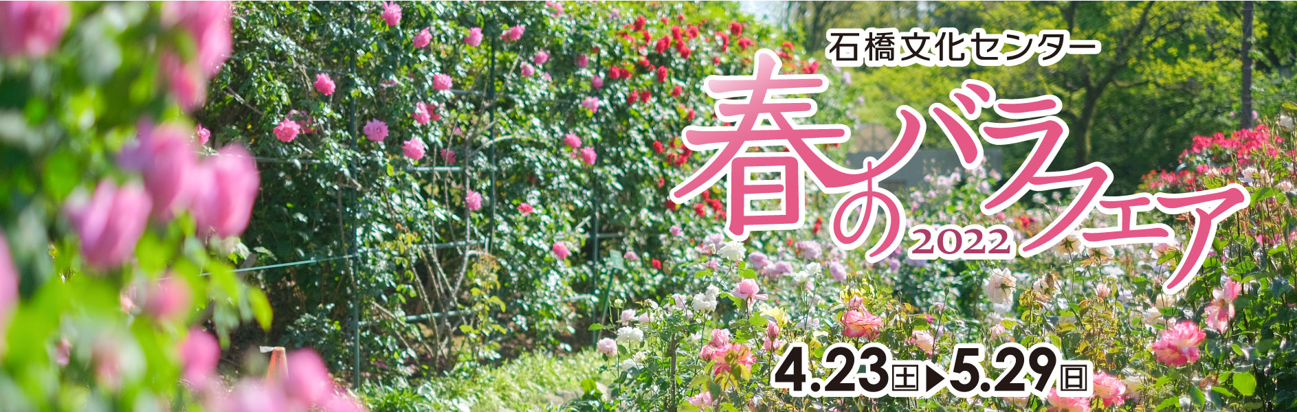 石橋文化センター