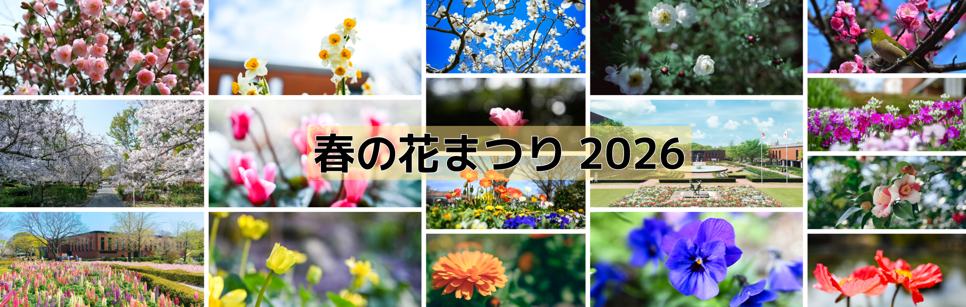 春の花まつり2026